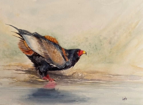 Getting ready to cool off (Available -framed)