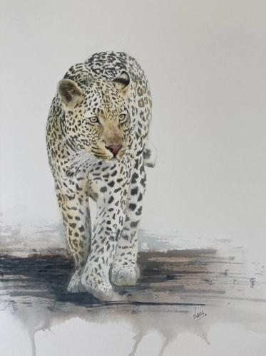 Leopard - Roam free and stay safe (Available - Framed)